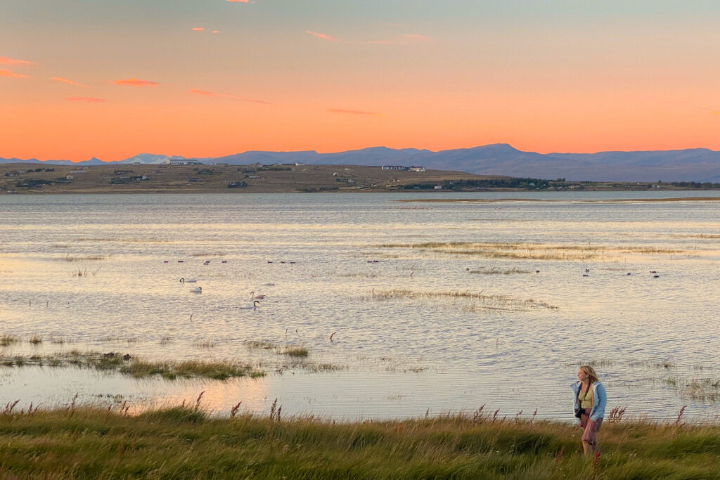 Laguna Nimez, Sunset. El Calafate